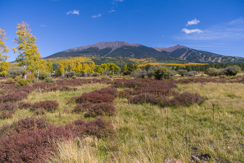 An open meadow in front of a distant mountainous expanse.